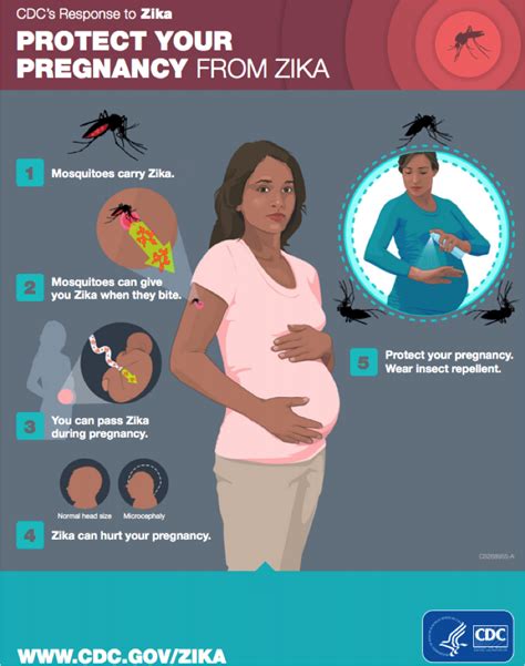 Protect Your Pregnancy From Zika Zika Communication Network