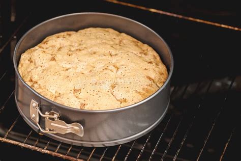 Charlotte Koekje Gebakje Cake In Vorm In De Oven Stock Afbeelding