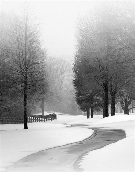Items Similar To Black And White Landscape Photography