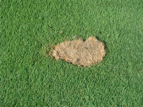 How Many Divots In A Golf Ball