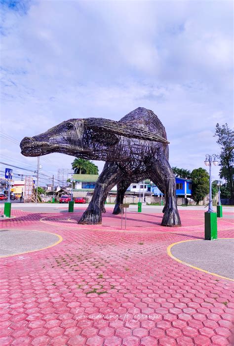 THE BEAST OF BURDEN in Tagum City... - Juandering Negrense