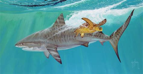 Guy Harvey Featured In “art And The Animal” Exhibit At College Of C