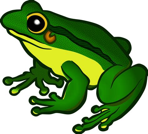 Green Frog Clipart Froglet Frog Clipart Png Download Full Size