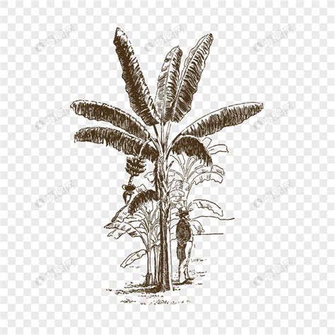 Maybe you would like to learn more about one of these? Gambar Lukisan Pokok Kelapa | Cikimm.com