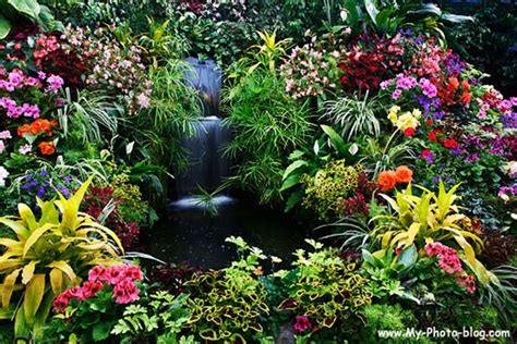 Maybe you would like to learn more about one of these? Canada Flower Garden - Flower ดอกไม้ Garden สวน Florists ...