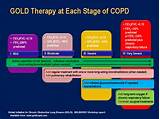 Copd Treatment Guidelines Gold Photos