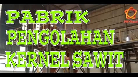 Mengolah Kernel Kelapa Sawit Menjadi Pko Dan Bungkil Untuk Di Ekspor Youtube