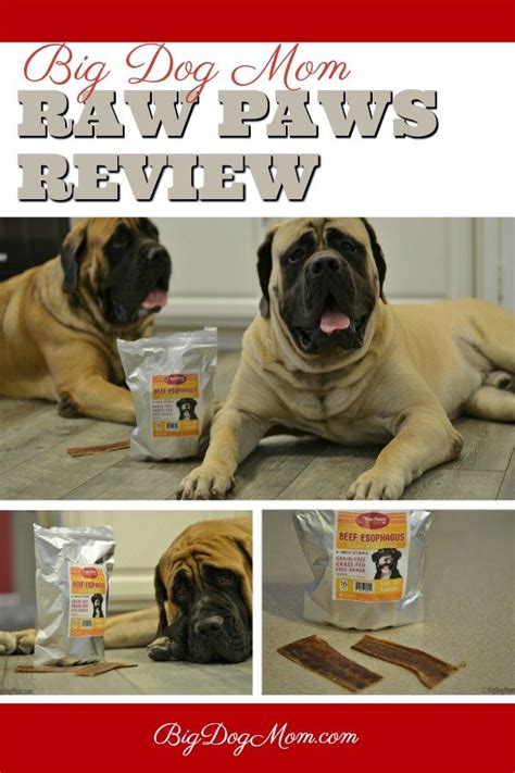 We did not find results for: Feeding The Way Nature Intended: A Review of Raw Paws Pet Food