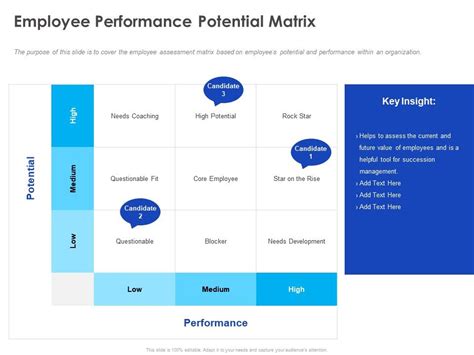 Employee Performance Potential Matrix Ppt Powerpoint Presentation
