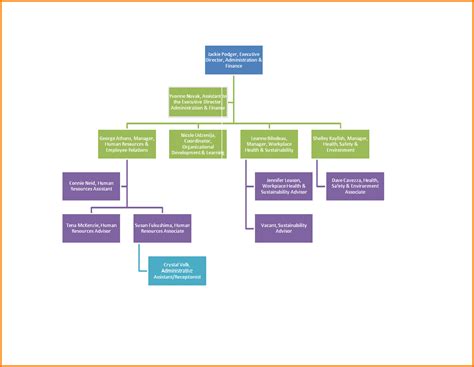 Microsoft Organizational Chart Templates Organization Template Within