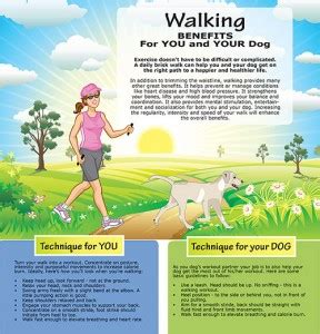 There are some good reasons to start incorporating walking into your daily routine. Walking BENEFITS For YOU and YOUR Dog | FitPAWS