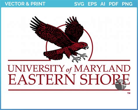 Maryland-Eastern Shore Hawks - College Sports Vector SVG Logo in 5