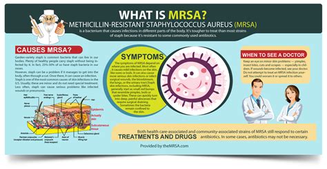 Infographic What Is Mrsa Understand The Basics Mrsa Infection