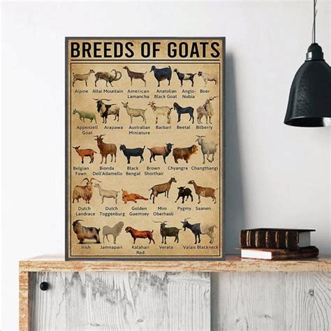Breeds Of Goats Poster Goats Print Goats Art Goat Decor Etsy