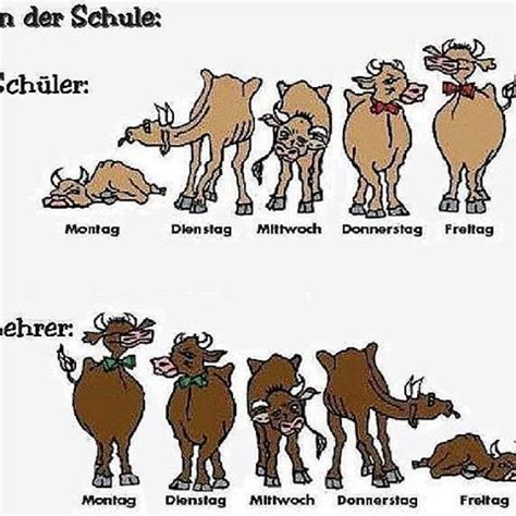 #schüler #lehrer #schule #lol #funny #lustig | Schule, Lehrer, Lehrer ...