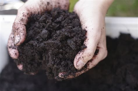 6 Types Of Soil How To Make The Most Of Your Garden Soil