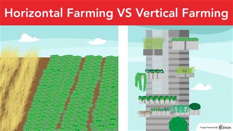 Interesting Facts About Vertical Farming