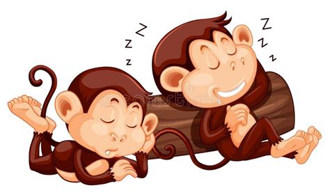 Set Of Monkey Sleeping Stock Vector Illustration Of White 134898320