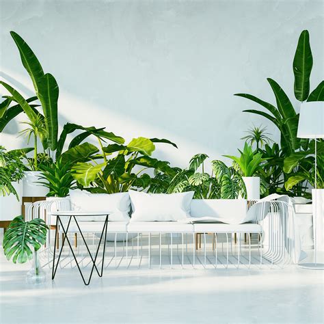 Botanical Interior Tropical Design Stock Photo Containing Architecture
