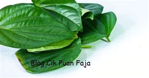 Daun sirih dipercaya dapat mengurangi kadar glukosa keseluruhan dalam darah yang sangat bagus bagi para penderita diabetes tipe 2. Cik Puan Faja: Kebaikan Daun Sirih