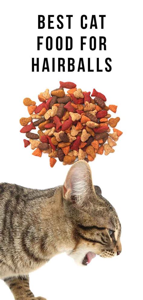 9 royal canin hairball care dry cat food best cat food for hairballs buying guide how can cat food help prevent hairballs? Best Cat Food For Hairballs - Keeping Your Kitty Furball Free