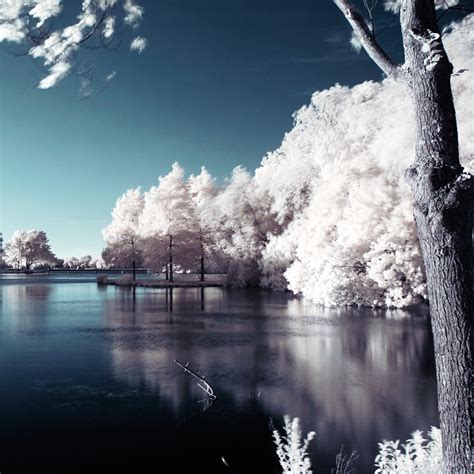 Free Images Tree Water Nature Branch Snow Winter Cloud Sky