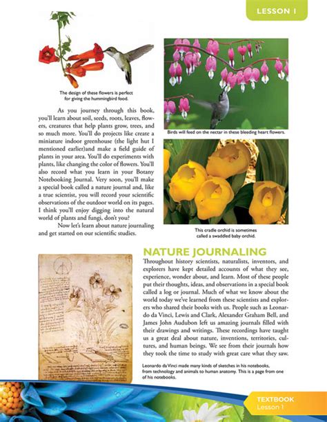 apologia educational ministries exploring creation with botany sample page 11
