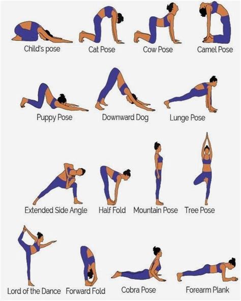 What Is Bikram Yoga And What Are Its Benefits Basic Yoga Poses Yoga