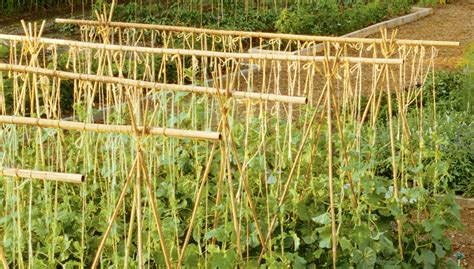 How To Make Bamboo Garden Trellis Garden Design Ideas
