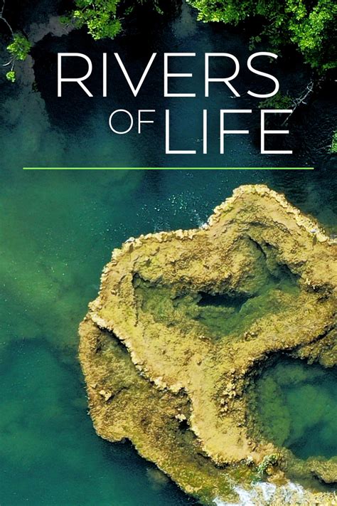 Rivers Of Life Serie 2019 Tráiler Resumen Reparto Y Dónde Ver