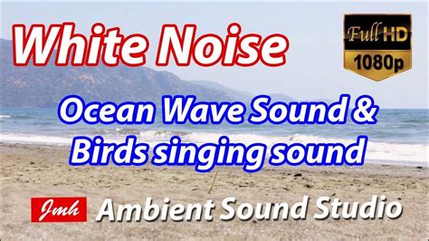 Ambient Wave Sound With Birds Singing Ocean Wave Sounds Singing