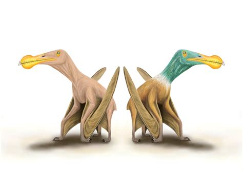 Prehistoric Flying Reptiles