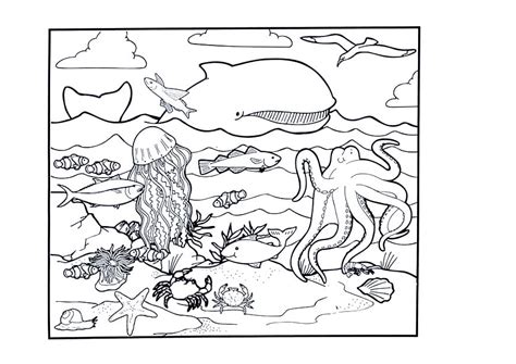 Free Printable Ocean Coloring Pages For Kids Free printable seashell coloring pages for kids.