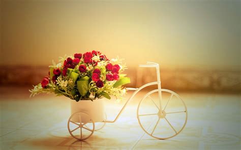Bicycle With Flower Wallpapers Photo 2014 2015 ~ Charming