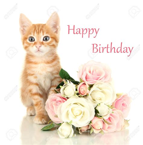 Cartes virtuelles fleurs envoyez des fleurs à ceux que vous aimez ! Carte Anniversaire Chats Qui Chantent