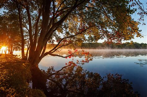 5775x3207 Lake Reflection Sunset Tree Nature Hd 4k Horizon