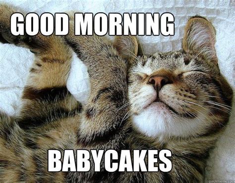 80 Good Morning Memes To Kickstart Your Day Good Morning Cat Morning Memes
