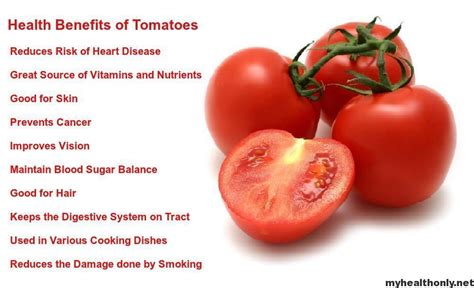 Effective Health Benefits Of Tomatoes My Health Only