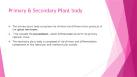 Solution Different Tissues Of Plants Studypool