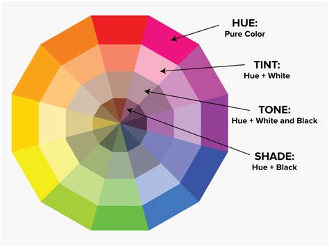 Color Wheel Hue Tint Tone Shade Hd Png Download Transparent Png