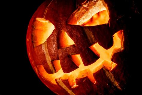 10 Fun Facts You Didnt Know About Halloween