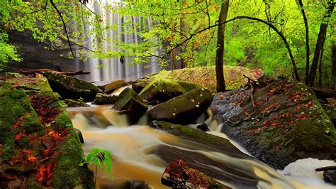 Forest Waterfall Forest Stream Rocks Fall Autumn Lovely Falling