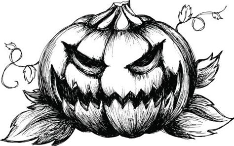 Jack O Lantern Drawing At Explore Collection Of