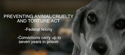 Bill Making Animal Cruelty A Federal Felony Passes Unanimously In The