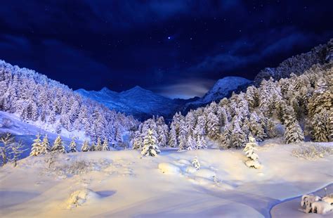 Foto Natur Winter Himmel Schnee Wälder Nacht Bäume 2665x1748