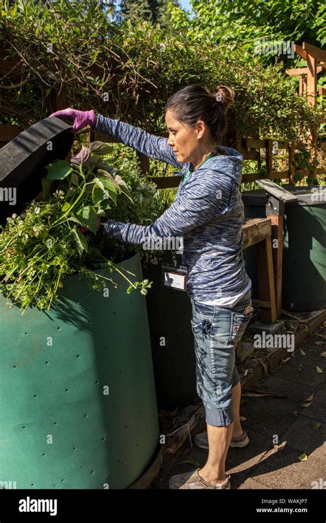 Washington State Usa Female Master Gardener Adding Plants To A