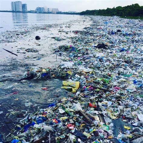 Ocean Plastics As You Sow