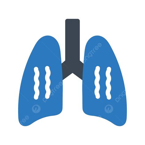 Breath Human Lung Health Vector Human Lung Health Png And Vector
