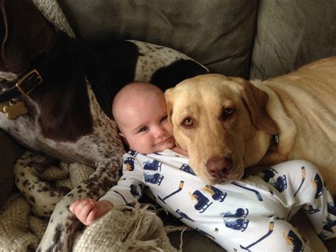 27 Insanely Adorable Baby And Dog Friendships From 2014 Dogs And Kids