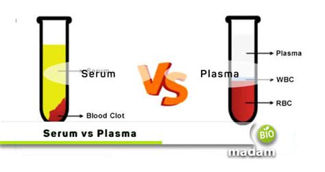 Difference Between Serum And Plasma Comparison Table Biomadam